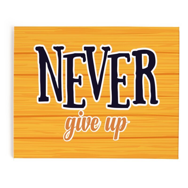Never Give Up Motivational Pin Board